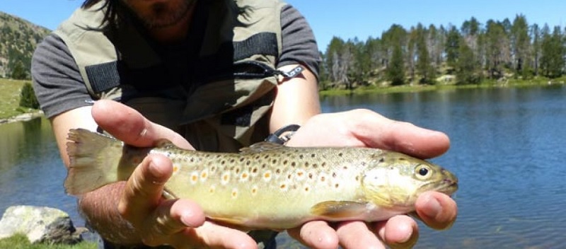 Consejos pesca de primavera en alta montaña