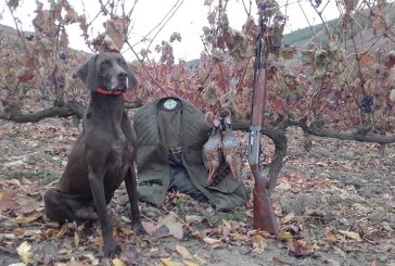 Hoy se desveda la caza menor en Castilla y León