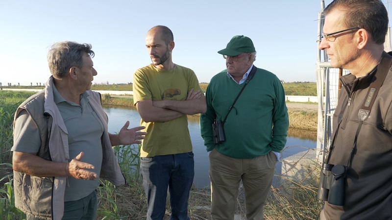 Colaboración en el censo de aves acuáticas cinegéticas del Delta del Ebro  Copia