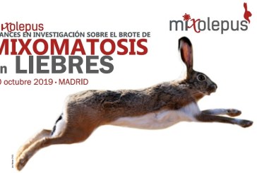 Avances en la investigación sobre el brote de la mixomatosis en liebres