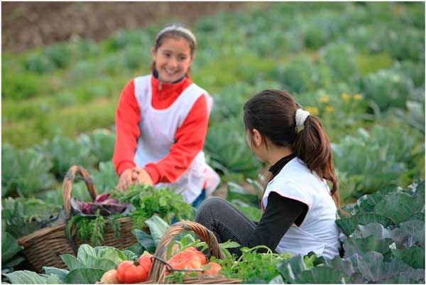 Los niños que crecen cerca de una granja desarrollan un sistema inmunológico más fuerte