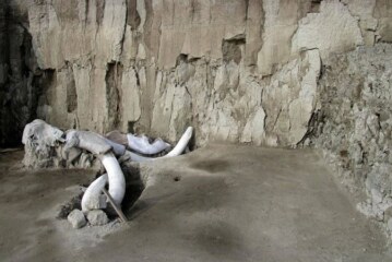 Hallados en México los restos de 14 mamuts en trampas de cazadores