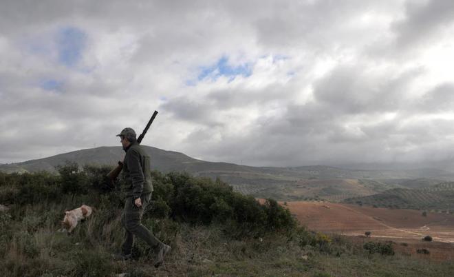 Buenas sensaciones con el borrador de la Ley de Caza de castilla y León