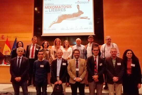 MIXOlepus destaca el compromiso y el trabajo del sector de la caza en la lucha contra la mixomatosis