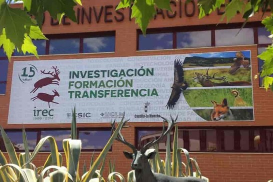 IREC reafirma su liderazgo en ciencia aplicada a la gestión de la caza