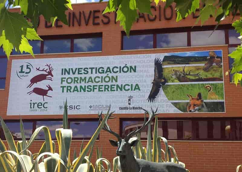 IREC reafirma su liderazgo en ciencia aplicada a la gestión de la caza