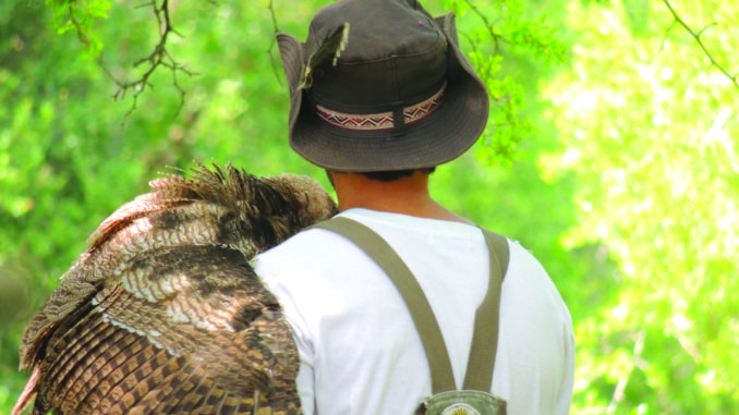 Proyecto propone que aves rapaces ayuden a disminuir el uso de agrotóxicos en cultivos