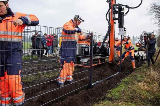 Brandenburgo levanta una valla electrificada contra la peste porcina en su frontera con Polonia