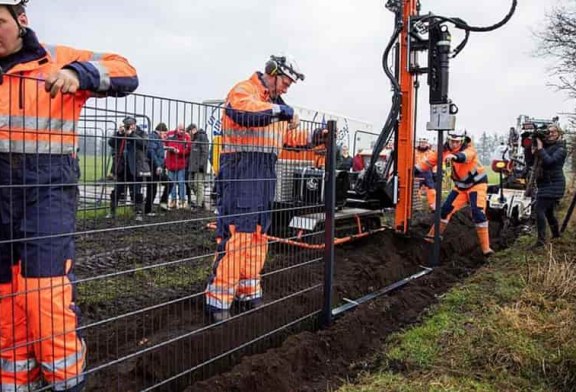 Brandenburgo levanta una valla electrificada contra la peste porcina en su frontera con Polonia