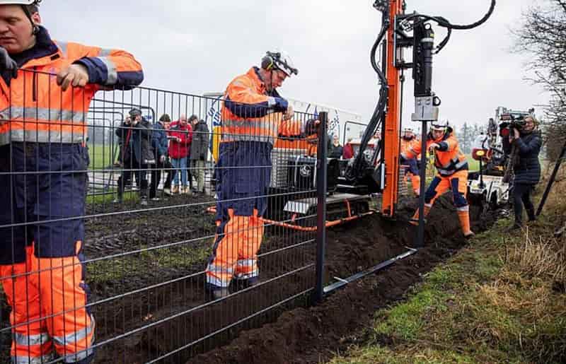 Brandenburgo levanta una valla electrificada contra la peste porcina en su frontera con Polonia