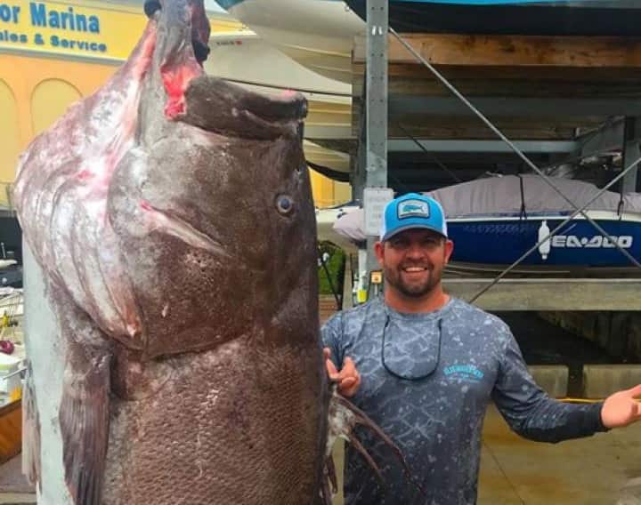 El mero más viejo jamás pescado en EE UU tenía 50 años y era enorme