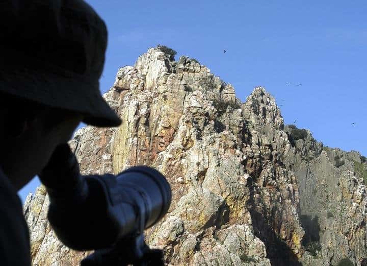 Castilla y León: Ornitólogos piden un día del fin de semana y la mitad de festivos sin caza