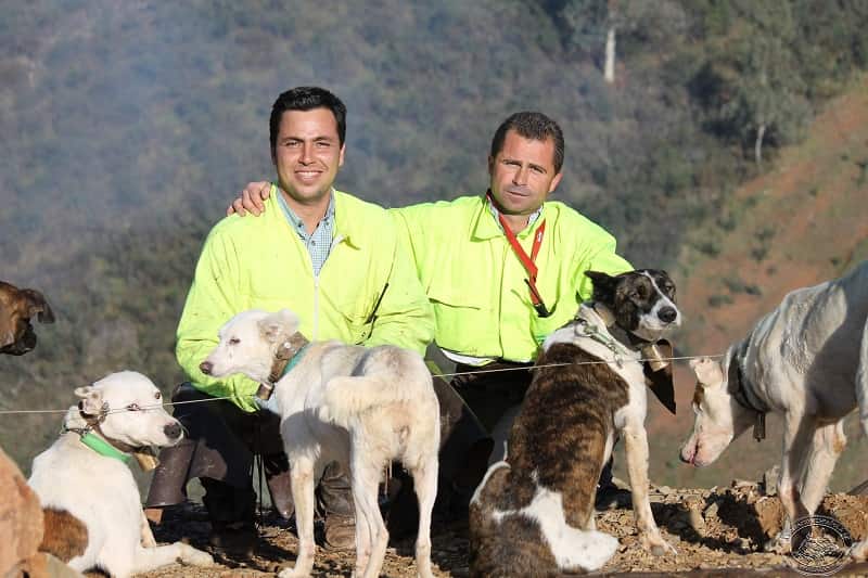 Castilla y León. La A.E.R. pide mejorar la regulación de la rehala