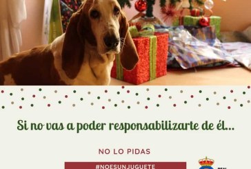 Campaña navideña de la RFEC para fomentar la tenencia responsable de perros