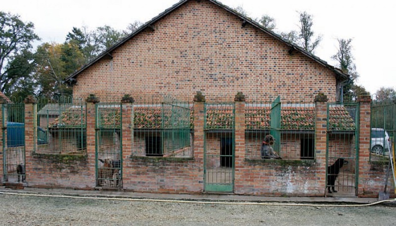 RFEC y ARRECAL piden adecuar el proyecto normativo de núcleos zoológicos a la realidad del mundo rural