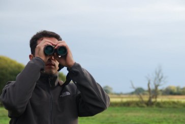 Artemisan  pone en marcha un proyecto sobre el estado de las aves cinegéticas