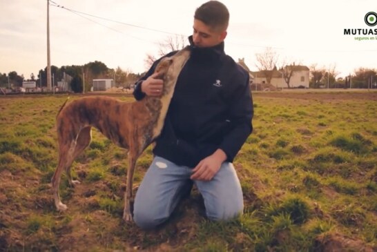 Indignación en el sector cinegético por la censura de Facebook a un documental sobre el abandono de perros de caza