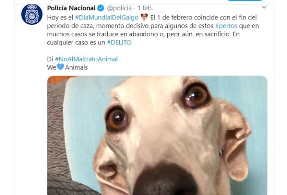 La RFEC exige a la Policía Nacional la rectificación de sus comentarios en RRSS acusando a los cazadores de abandonar y maltratar a sus perros
