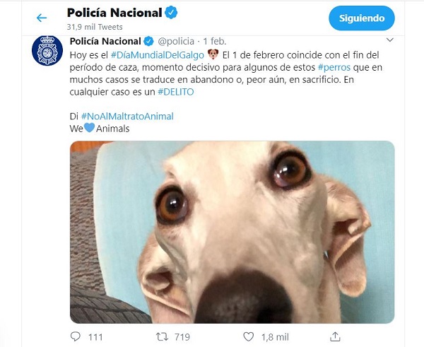 La RFEC exige a la Policía Nacional la rectificación de sus comentarios en RRSS acusando a los cazadores de abandonar y maltratar a sus perros