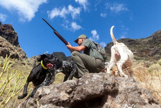 La caza mantiene uno de cada tres perros