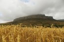 Coronavirus y la antipatía de la ciudad con el campo