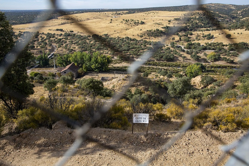 Unidas Podemos denuncia que la autorización del control de especies puede degenerar en caza recreativa