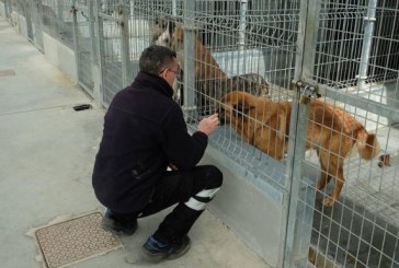 Entidades de todo el país se reúnen para mostrar su rechazo ante la Ley de Protección Animal y el RD de Núcleos Zoológicos