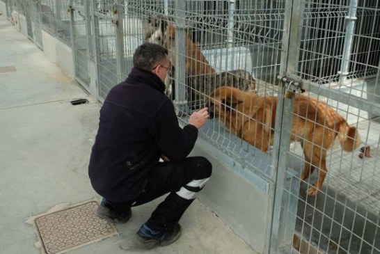 Entidades de todo el país se reúnen para mostrar su rechazo ante la Ley de Protección Animal y el RD de Núcleos Zoológicos