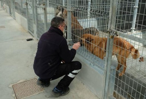 Entidades de todo el país se reúnen para mostrar su rechazo ante la Ley de Protección Animal y el RD de Núcleos Zoológicos