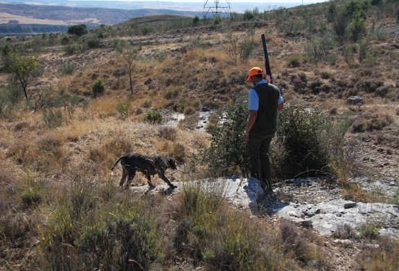 ¿Qué pueden y no pueden hacer los cazadores federados durante las fases de desescalada?