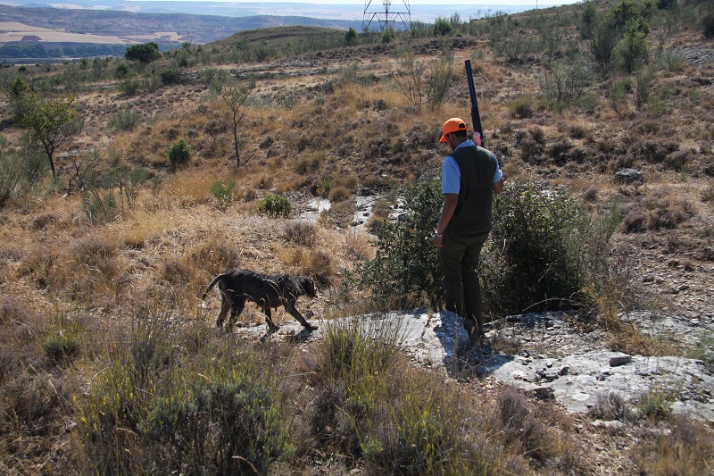 ¿Qué pueden y no pueden hacer los cazadores federados durante las fases de desescalada?