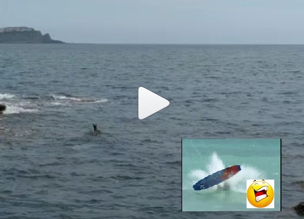 Pese a las restricciones un corzo intento surfear la ola de Mundaka (Ver vídeo)