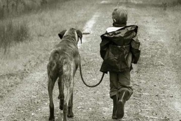 Los cazadores piden poder sacar a los perros de caza a los cotos para mejorar el bienestar de los animales