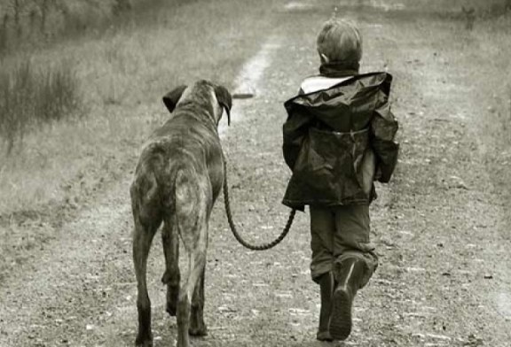 Los cazadores piden poder sacar a los perros de caza a los cotos para mejorar el bienestar de los animales