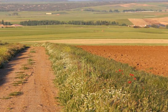 Buenas prácticas agrícolas para la caza