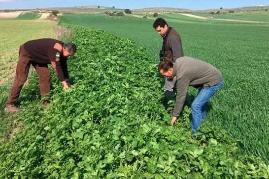 RFEC y Artemisan presentan al Gobierno medidas agroambientales para una nueva PAC que apueste por la recuperación de la fauna menor y la biodiversidad