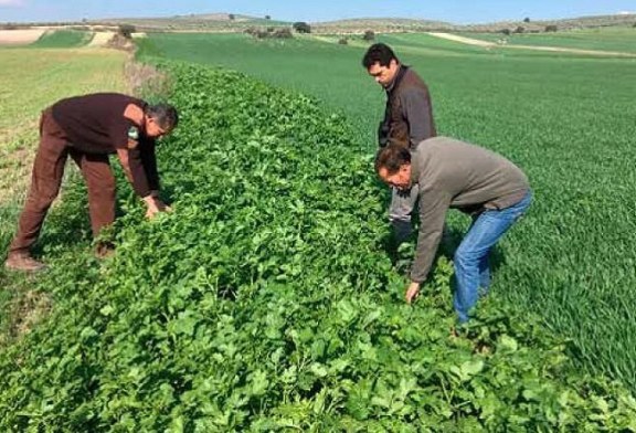 RFEC y Artemisan presentan al Gobierno medidas agroambientales para una nueva PAC que apueste por la recuperación de la fauna menor y la biodiversidad