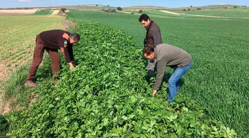 RFEC y Artemisan presentan al Gobierno medidas agroambientales para una nueva PAC que apueste por la recuperación de la fauna menor y la biodiversidad