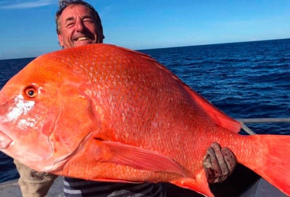 Pesca un emperador rojo de 22 kilos y lo dona a la ciencia para que lo estudien