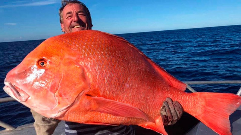 Pesca un emperador rojo de 22 kilos y lo dona a la ciencia para que lo estudien