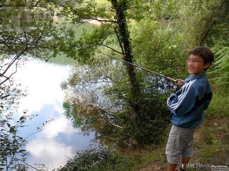 Detectan larvas de mejillón cebra en el embalse de Gorostiza, en Barakaldo