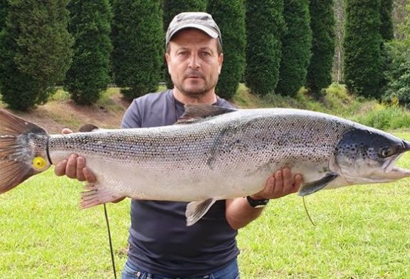 Un «monstruo» de río: el Nalón da el ejemplar más grande de la temporada salmonera en Asturias