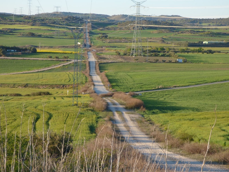 Adecana y los cazadores navarros a favor de la recuperacion medioambiental de las zonas no cultivables