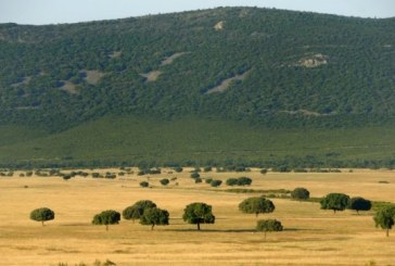 Fundación Artemisan inicia una ronda de reuniones para alertar sobre las graves consecuencias de prohibir la caza en Parques Nacionales