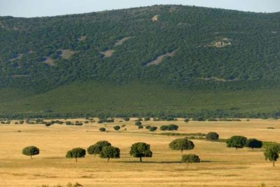 Fundación Artemisan inicia una ronda de reuniones para alertar sobre las graves consecuencias de prohibir la caza en Parques Nacionales