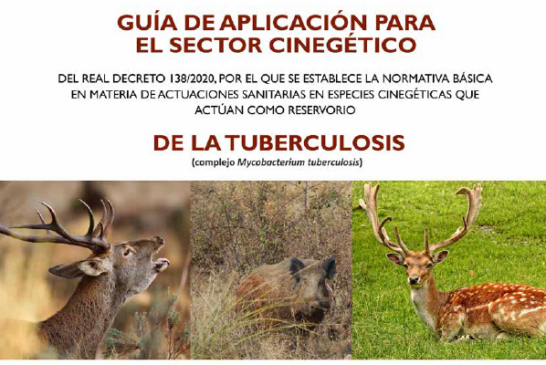 Publicada una guía de aplicación de la normativa básica de actuaciones sanitarias para el control de tuberculosis en especies cinegéticas