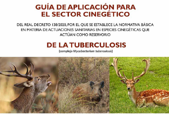 Publicada una guía de aplicación de la normativa básica de actuaciones sanitarias para el control de tuberculosis en especies cinegéticas