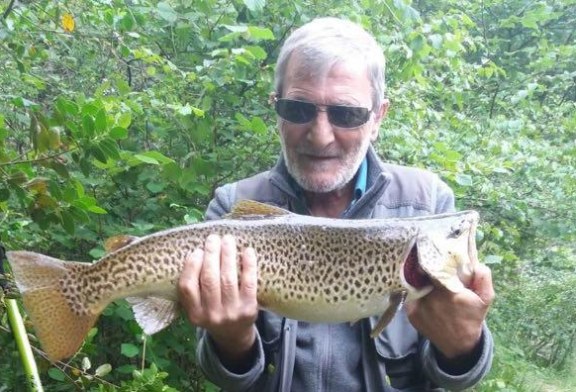 Trucha gigante pescada en el rio Sella