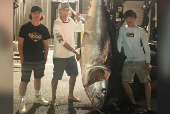 EE.UU. Jóvenes pescan atún de 318 kg tras una lucha de 7 horas