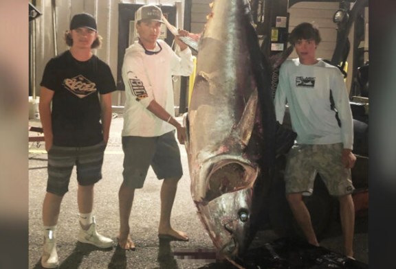 EE.UU. Jóvenes pescan atún de 318 kg tras una lucha de 7 horas